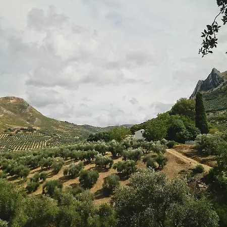 Cortijo Abril Priego De Cordoba